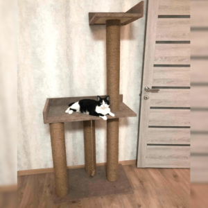 Комплекс для больших кошек, с лежанками "Олимп" 175*80*45см