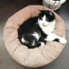 лежак для кота