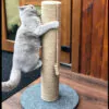 Стовпчик – когтеточка з котом
