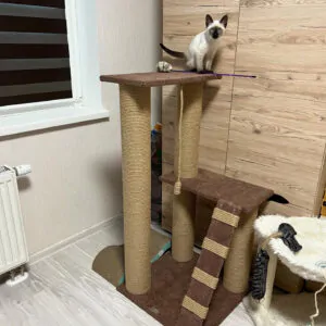 Двухэтажный игровой комплекс для кота, с полочками, с игрушкой, джут 105*55*55см