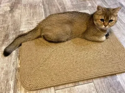 Килимки для кошек