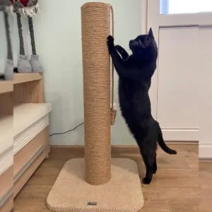Дряпка для кота, столбик когтеточка круглый, из джута, 65/80/100см