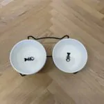 Рибки