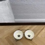 Лапки
